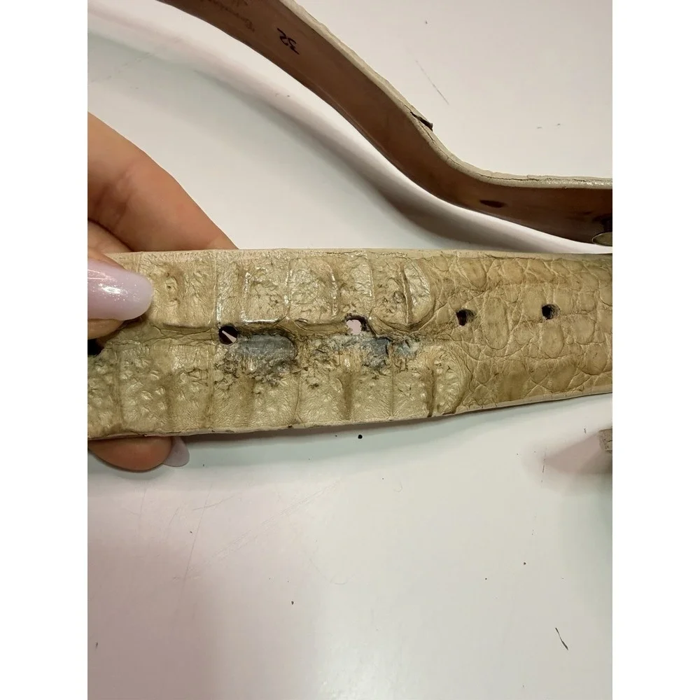 Men's Genuine Crocodile Skin Belt with Matching Trophy‎ Buckle Size 32 USA Made